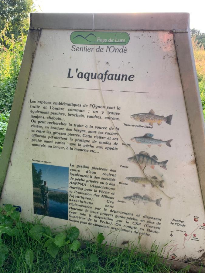 Les Jardins D'Elise, Calme Et Verdure A Lure Lure  Εξωτερικό φωτογραφία