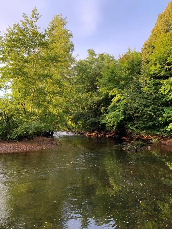 Les Jardins D'Elise, Calme Et Verdure A Lure Lure  Εξωτερικό φωτογραφία